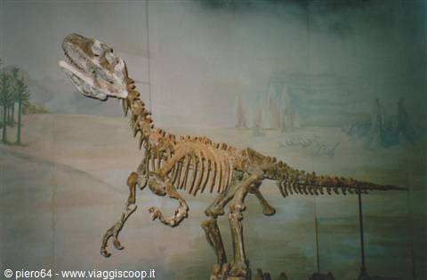 Fossil dinosaur skeleton in a museum, in front of a painted prehistoric mural