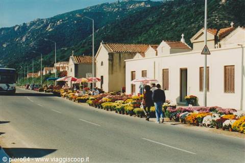 Flower stalls along the road, whitewashed houses and mountains behind