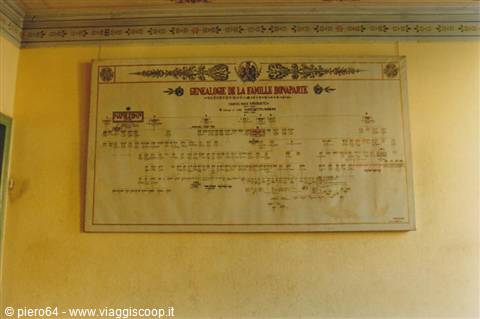 Benaparte family genealogy chart hanging on a yellow wall