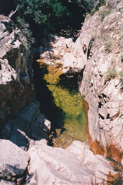 Clear pool between granite rocks and green trees