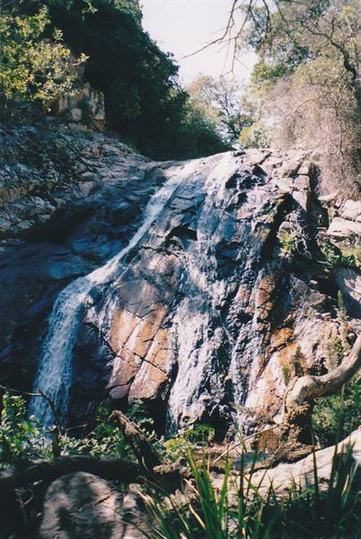 Waterfall flows over dark rocks among trees and green vegetation