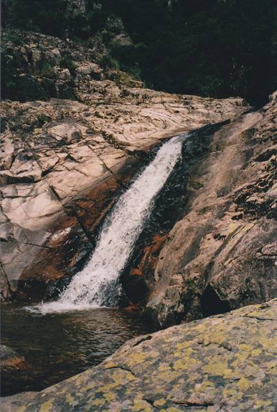 Small waterfall cascading over granite rocks with yellow lichen