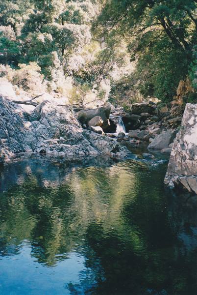 Small waterfall between gray rocks and trees, green reflections in still water