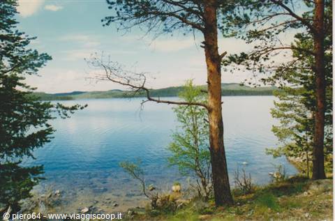 Blue lake framed by pine trees, rocky shore, distant hills