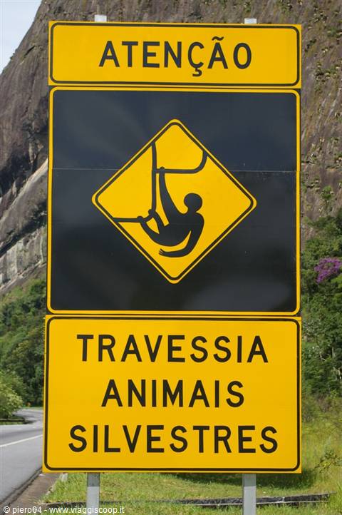 Yellow sign warning 'Atenção, travessia animais silvestres' beside road with rocky mountain