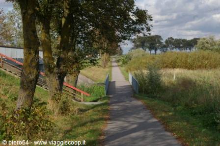 Cycle path with small metal bridge among reeds and trees