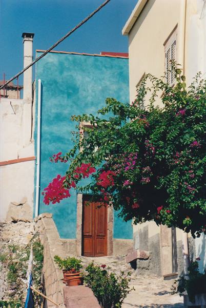 Turquoise house with wooden door, blooming bougainvillea along an uphill alley