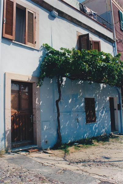 Blue house with wooden shutters and grapevine pergola over the street