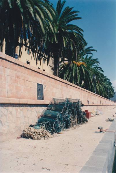 Fishing nets stacked on the quay beneath palm trees and stone wall
