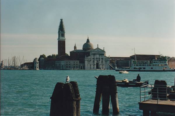 Seagull on wooden mooring poles, lagoon and San Giorgio Maggiore church, Venice