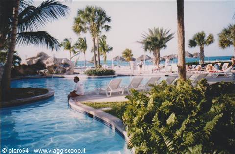 Pool with loungers and palm trees in the Caribbean, man sitting poolside
