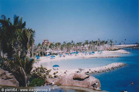 beach with palms and blue umbrellas on a turquoise lagoon