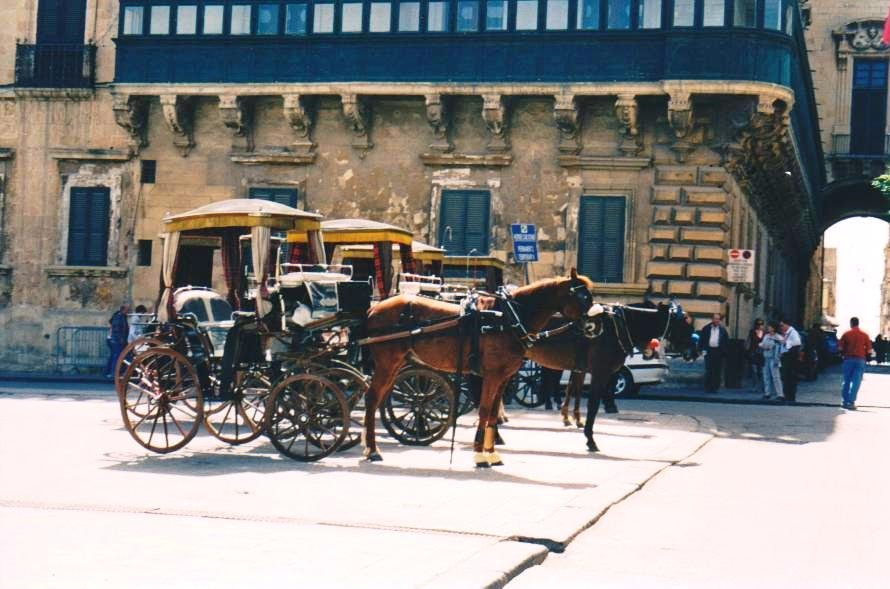 Cavalli con carrozze d'epoca in una piazza di Valletta, Malta