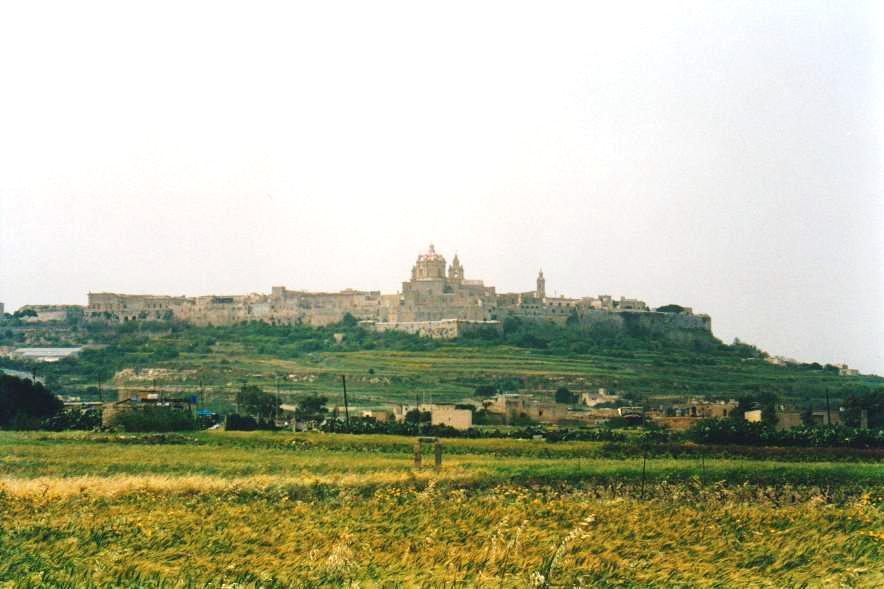 Mdina, la città vecchia in pietra chiara, sopra i campi coltivati