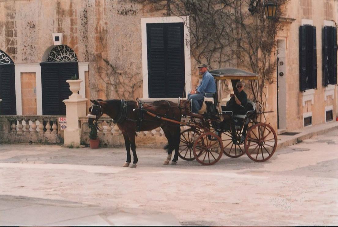 Cavallo con carrozza davanti a una vecchia casa in pietra, Mdina