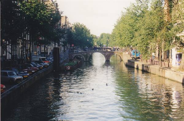 Amsterdam canal with arched stone bridge, parked cars, ducks swimming in the water