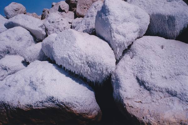 Salt formations on the seashore