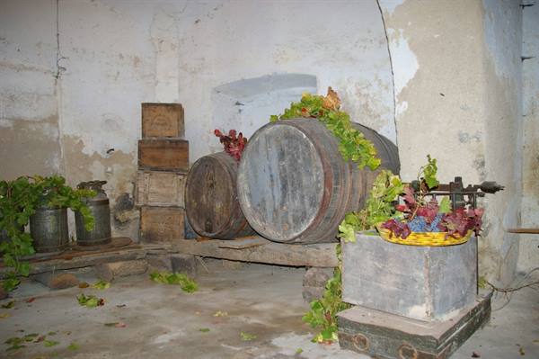 Wooden barrels and crates in old wine cellar, grapes on scale