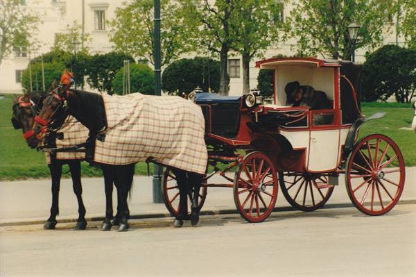 Horses in checkered blankets and red carriage parked by the curb