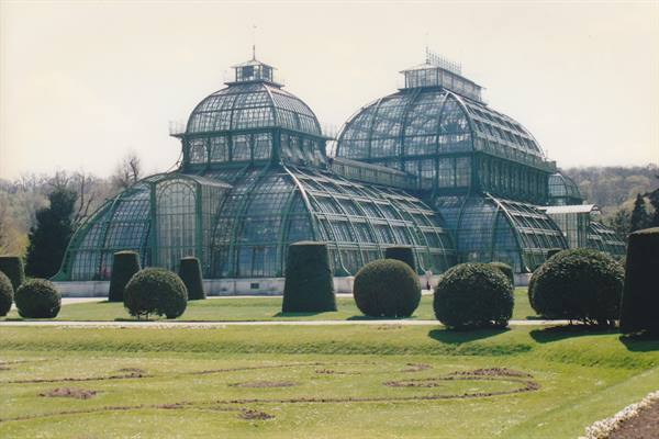 Palmenhaus greenhouse at Schönbrunn, glass and steel structure among trimmed hedges