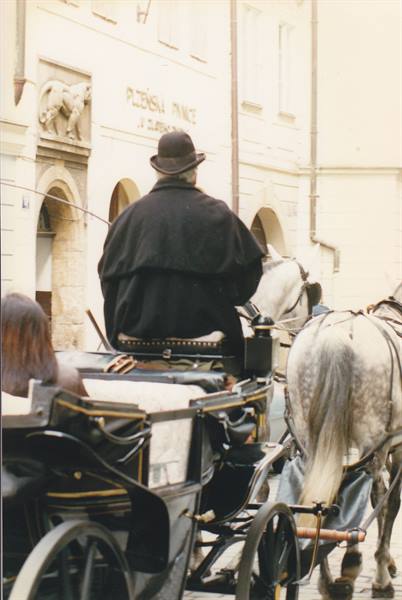 Carriage driver in black hat guides white horse through Prague streets