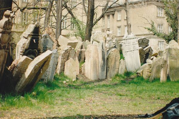 Old leaning stone tombstones among trees at Prague's Jewish Cemetery