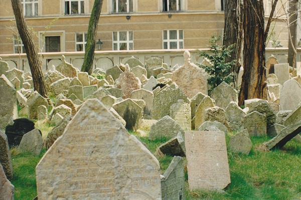 Prague's Old Jewish Cemetery, hundreds of weathered stone tombstones among the trees