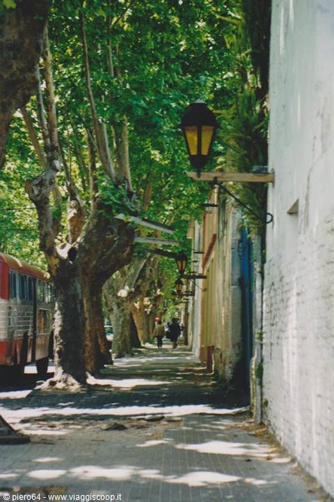 Tree-lined street with wall lanterns beside a stopped bus