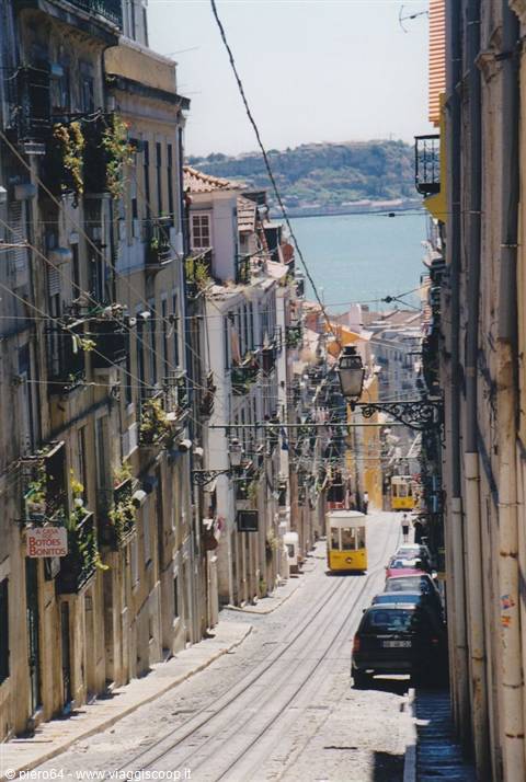 Yellow trams descend a steep Lisbon street toward the Tagus