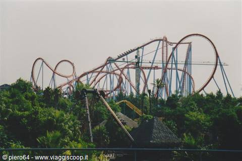 Red roller coaster with tall vertical loops above trees in the park