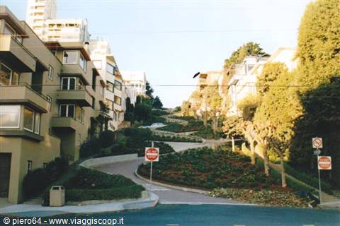 Lombard Street in San Francisco, winding flowered road between houses and trees