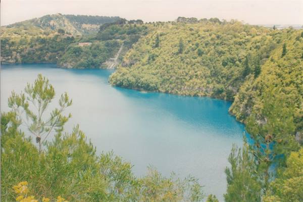 Blue Lake at Mount Gambier, turquoise water surrounded by green pines