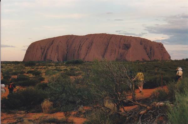 Hikers walking through bushes in front of the red rock of Uluru