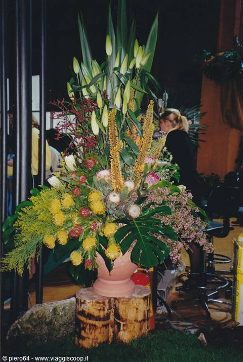 Large floral arrangement in terracotta vase on logs, with lilies and proteas