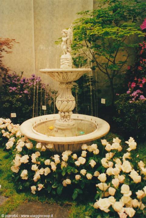 Marble fountain with cherub statue surrounded by blooming white roses