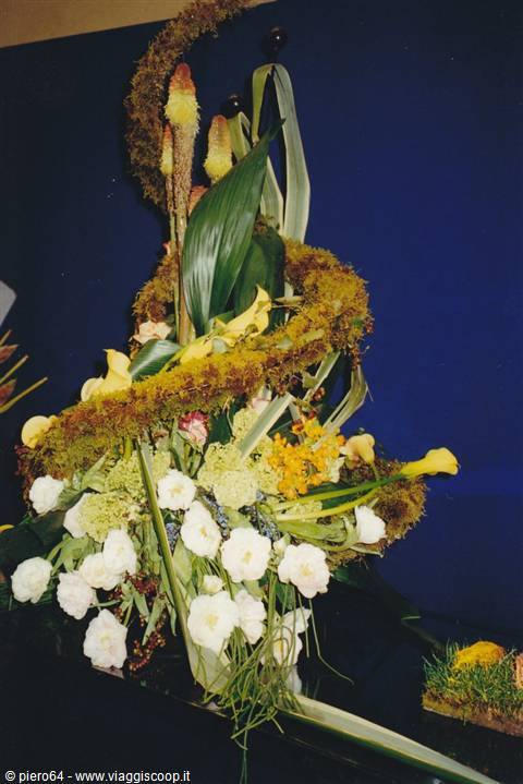 Floral arrangement with white roses, yellow calla lilies and moss on blue backdrop
