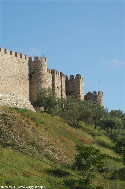 Crenellated stone walls of Ayasuluk fortress above the trees, morning light