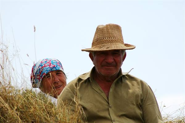 farmers in straw hat and headscarf among dry grass under white sky