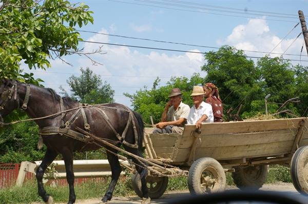 Typical encounter along the road