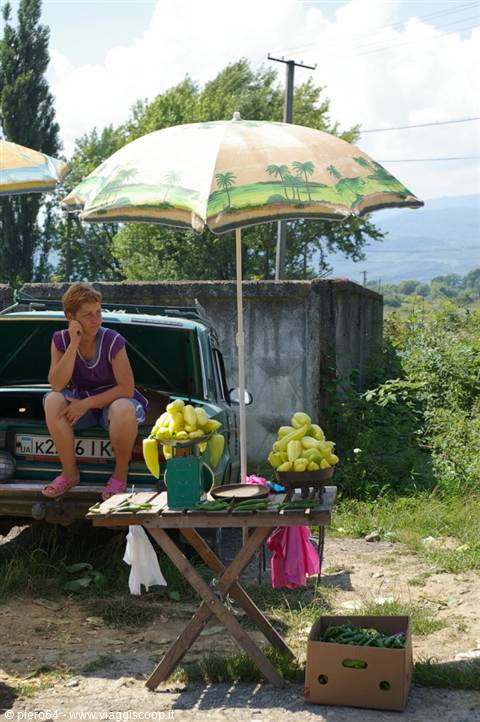 Woman sells yellow melons under a parasol, sitting on her car trunk