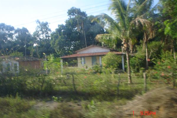 Around Maragogipe ( surroundings of Bahia)