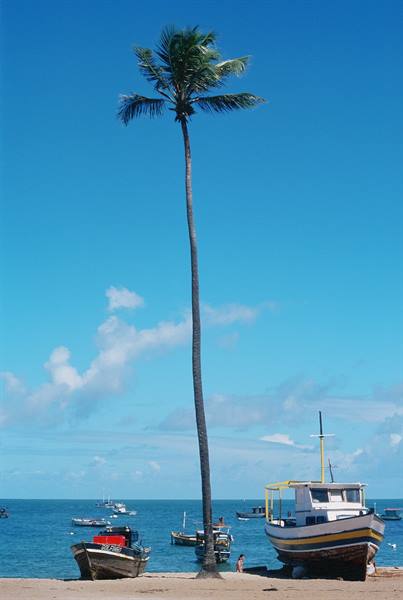 Praia do Forte
