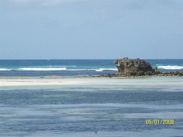 what a sea
