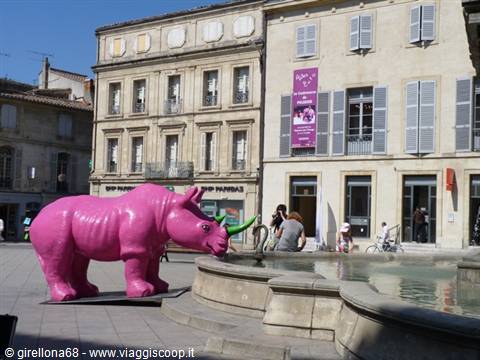 Pink rhinoceros sculpture next to a fountain in a square with historic buildings