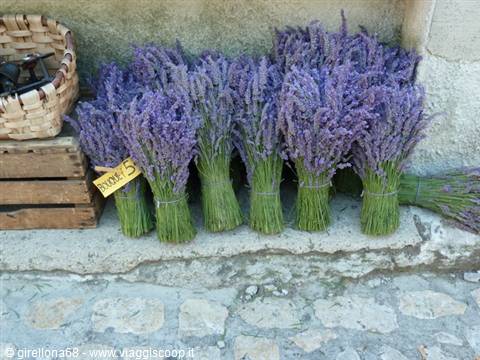 Fresh lavender bundles leaning against a stone wall, next to a wicker basket