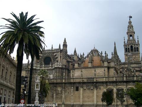 Seville Cathedral with the Giralda tower, palm tree in foreground, cloudy sky