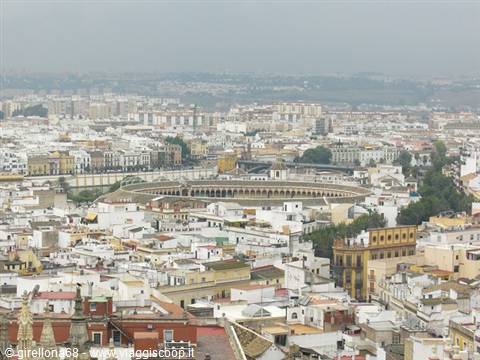 Seville rooftops from above with the circular Maestranza bullring
