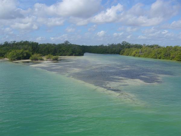 Sian Ka'an Biosphere