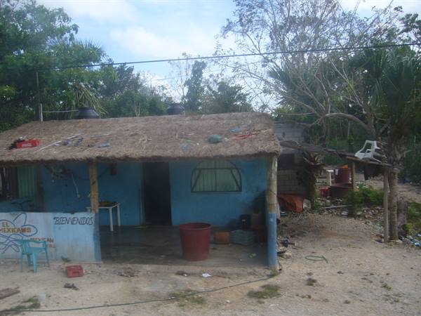 Blue thatched-roof house with street sign, sand and trees