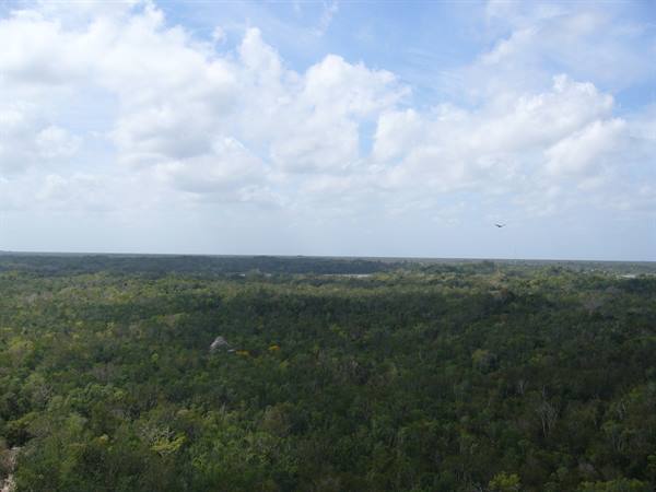 Cobá